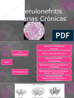 Glomerulonefritis Primarias Crónicas