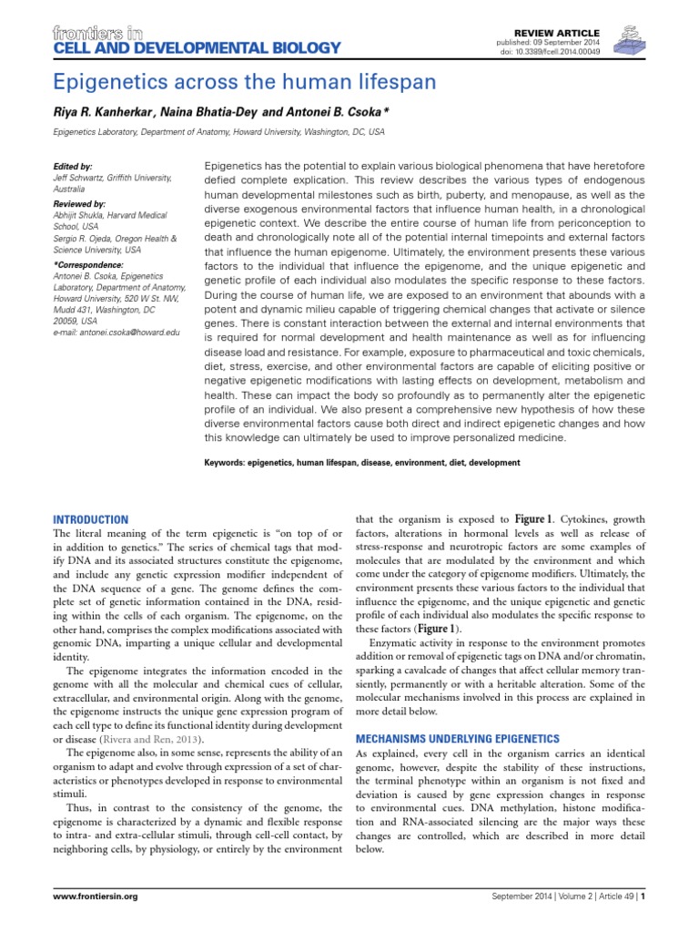 Epigenetics Across The Human Lifespan | PDF | Epigenetics | Histone