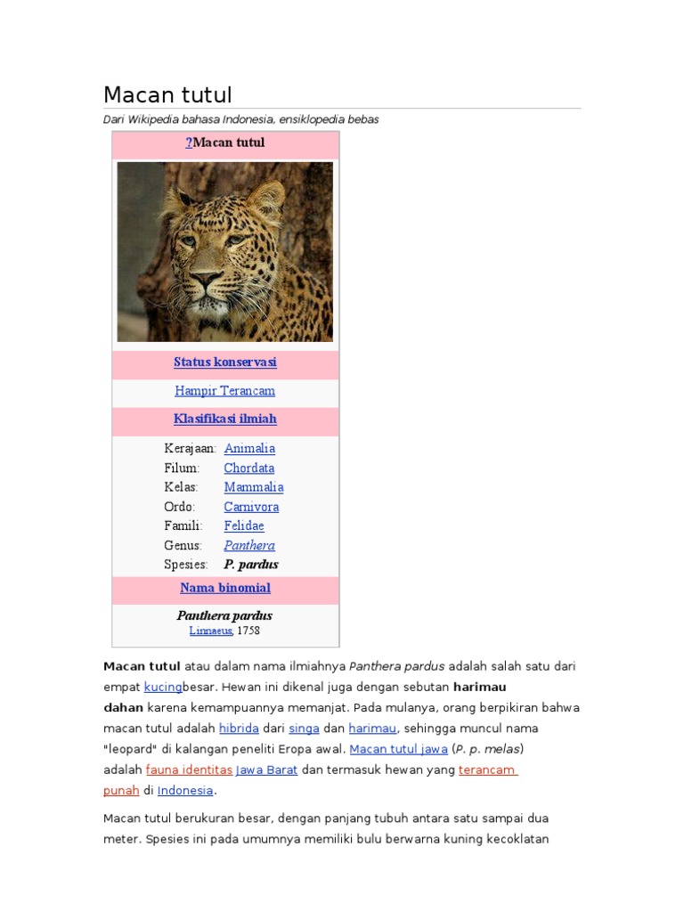 Macan Tutul | PDF