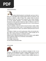 Tudo sobre Cavalos