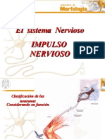 Impulso nervioso (2).ppt