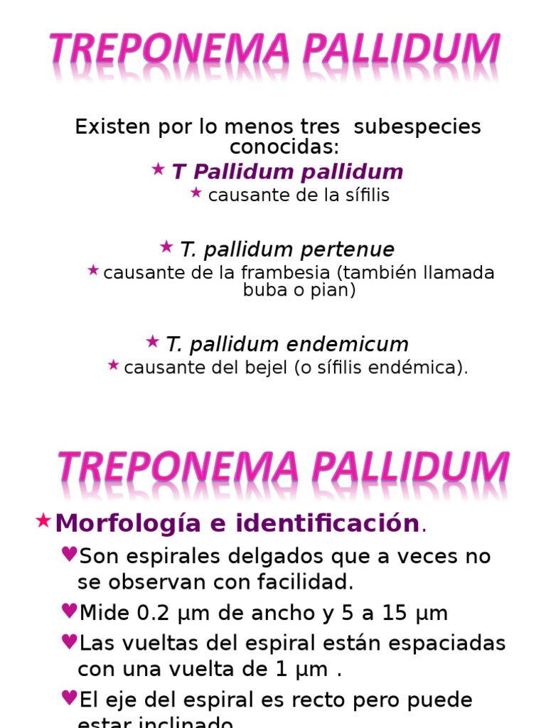 TREPONEMA PALLIDUM Microbiología Medicina