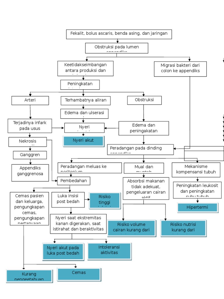 Pathway Apendisitis Akut dan Perawatan | PDF