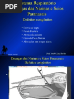 Aula Respiratório 11-2