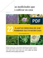 22 plantas medicinales cultivar casa