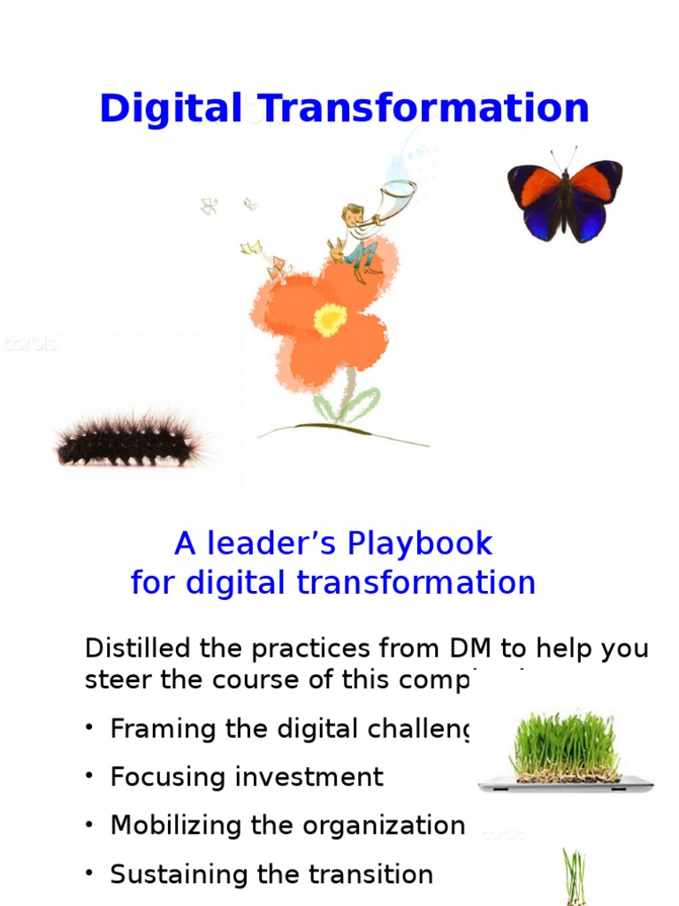 Digital Transformation Leadership Guide | PDF | Governance | Innovation