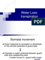 Water Loss Transpiration