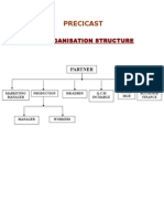 Precicast Organization Structure Chart