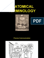 Anatomical Terminology Guide