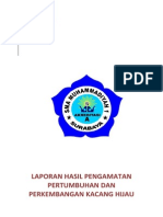 Makalah Laporan Perkecambahan