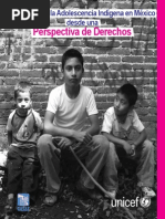 Panorama de la adolescencia indigena