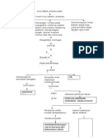 Pathway Meningitis