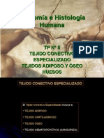 05.2 - Tejido Conectivo Especializado Adiposo y Oseo - Histologia