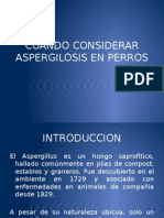 Cuando Considerar Aspergilosis en Perros