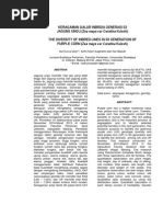 Download Keragaman Galur Inbrida Generasi S3 Jagung Ungu Zea mays var Ceratina Kulesh by Ika Nursaadah SN275985858 doc pdf