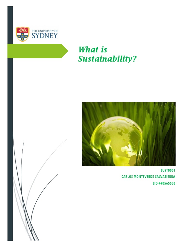 what-is-sustainability-pdf-sustainability-resource