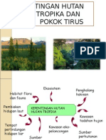 Kepentingan Hutan Hujan Tropika Dan Hutan Pokok Tirus