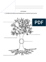 Partes Das Plantas e Atividades