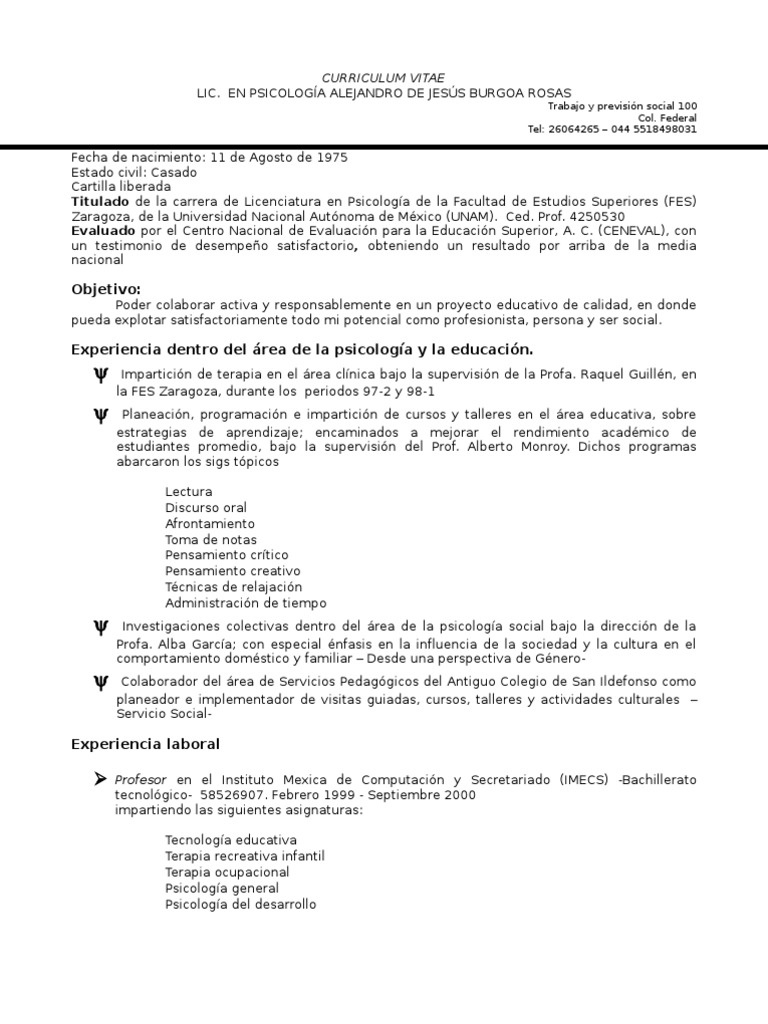 Resume summary examples picture