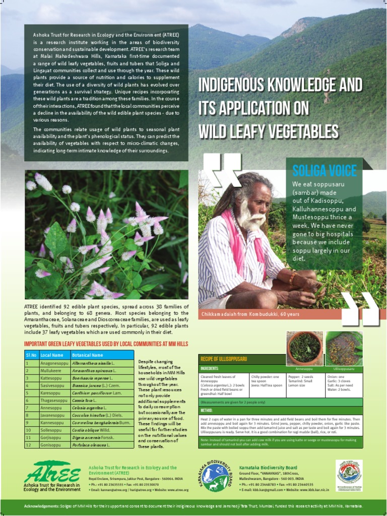 Indigenous Wild Vegetables of MM Hills | PDF | Vegetables | Garlic