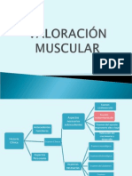 Valoración Muscular