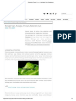 Pengertian, Fungsi, Proses Fotosintesis _ Ilmu Pengetahuan.pdf