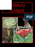 Tropusi_viragok (5).pps