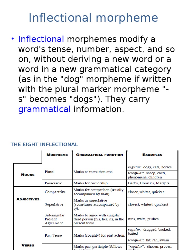 Understanding Inflectional Morphemes | PDF