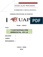 Monografia de contaminacion ambientalautoguardado 150427203015 Conversion Gate01
