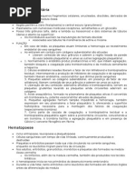 Agregação plaquetária