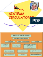 circulatoorio 5