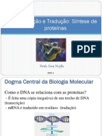 Transcrição e Tradução