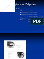 Aula 2 - Patologias Das Palpebras PDF