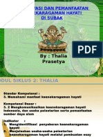 Modul Siklus 2 Thalia