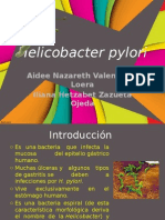 Helicobacter 