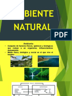 ambiente natural.pptx