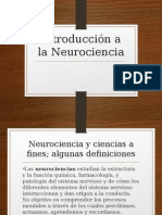 Cerebro Exposicion - 1