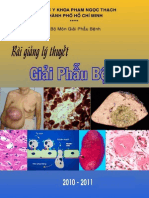 Bai Giang Ly Thuyet Giai Phau Benh Y3 Y Pham Ngoc Thach 2010 2011 PDF