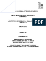 Reporte Cuantificacion de Proteinas Plasmaticas Presentes en La Sangre Humana