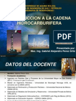 INTRODUCCION A LA CADENA HIDROCARBURIFERA.pdf