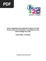 Informe Complementario Beijing 20_Noviembre_2014_pb (2)