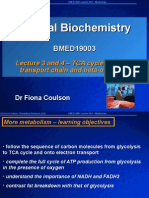 Biomedical Education - Metabolism - TCA Cycle