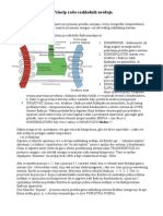 Rashladni Sistemi PDF