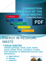 Combustion Characteristics of The Solid Wastes