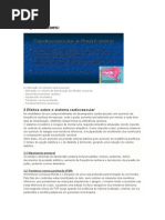 Síndrome do Imobilismo.docx