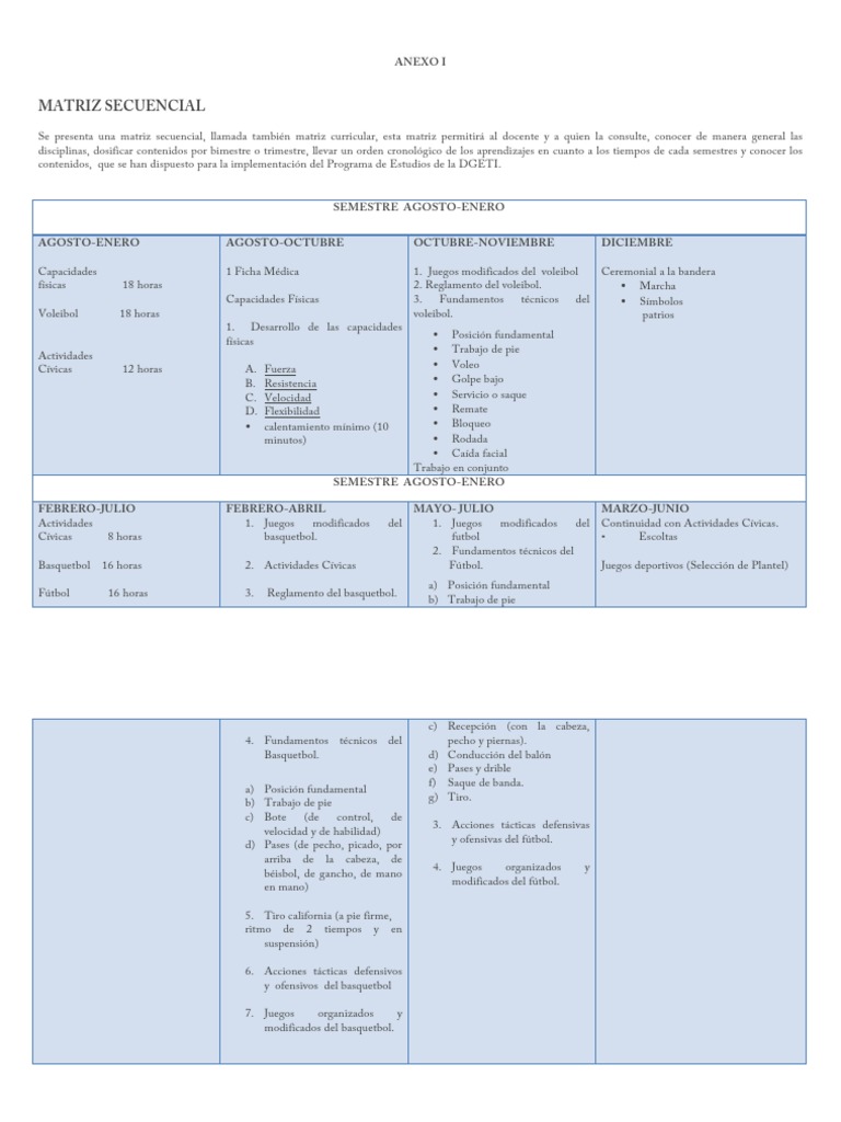 Matriz Curricular de Educación Física | PDF | Aprendizaje | Maestros