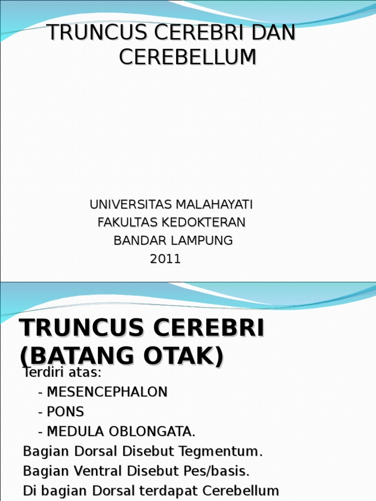 Struktur dan Fungsi Truncus Cerebri | PDF | Ilmu Sosial | Sains ...
