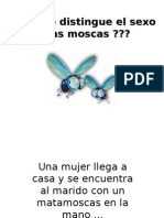 Sexo de Las Moscas - Pps