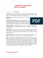 Trabalho Sobre Circulação Arterial e Venosa Nos Membros Superior e Inferior