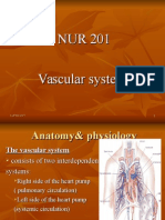 NUR 201 Vascular System